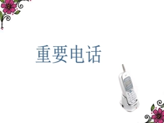 《重要电话》课件