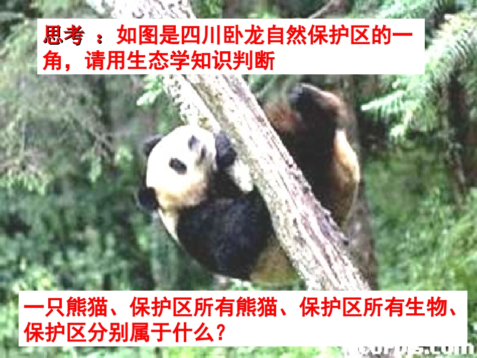 与生物有关的职业景观设计师_第2页