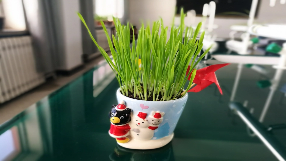 与生物学有关的职业-大地的美容师——园艺师_第2页