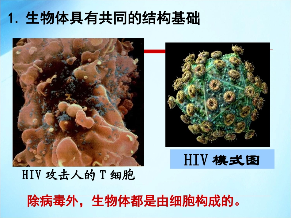致同学们-(3)_第3页