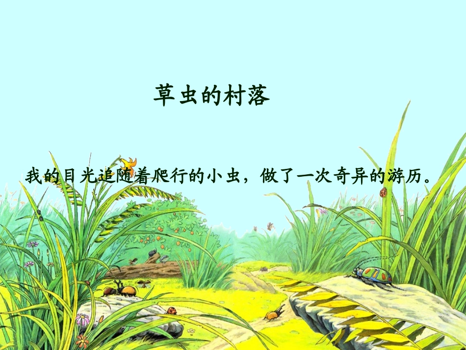草虫的村落2_第3页