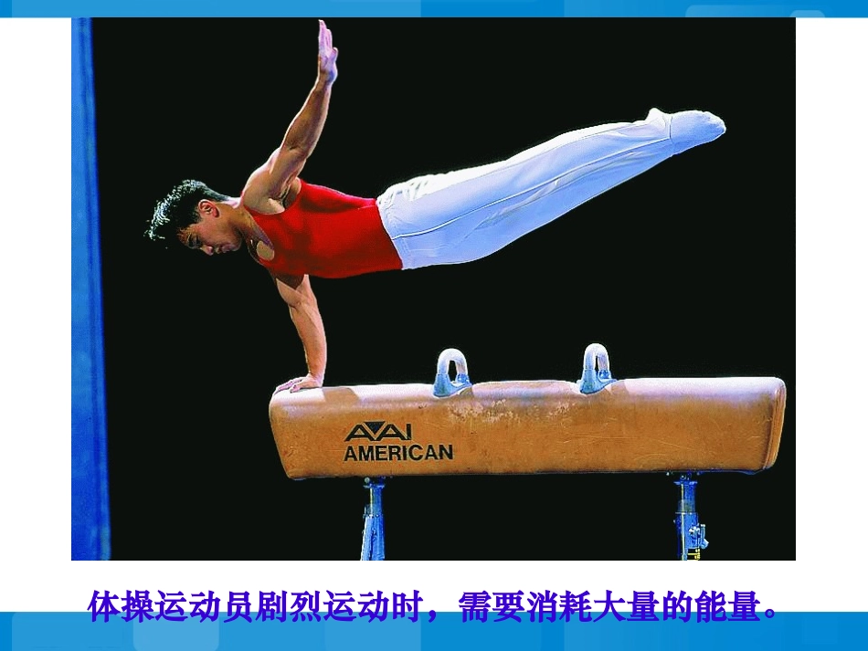 第五节人体能量的供给_第1页