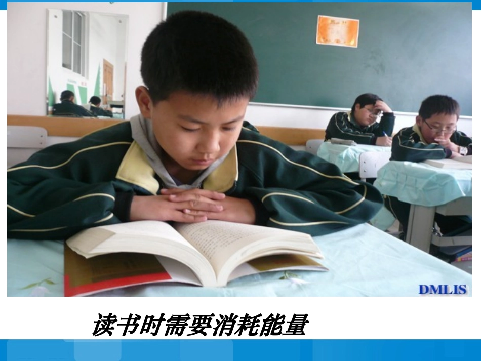 第五节人体能量的供给_第2页