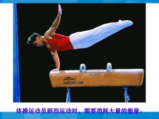 第五节人体能量的供给