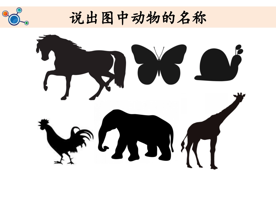 1.观察我们的身体_第1页