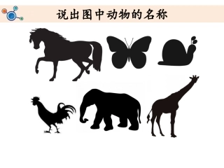 1.观察我们的身体