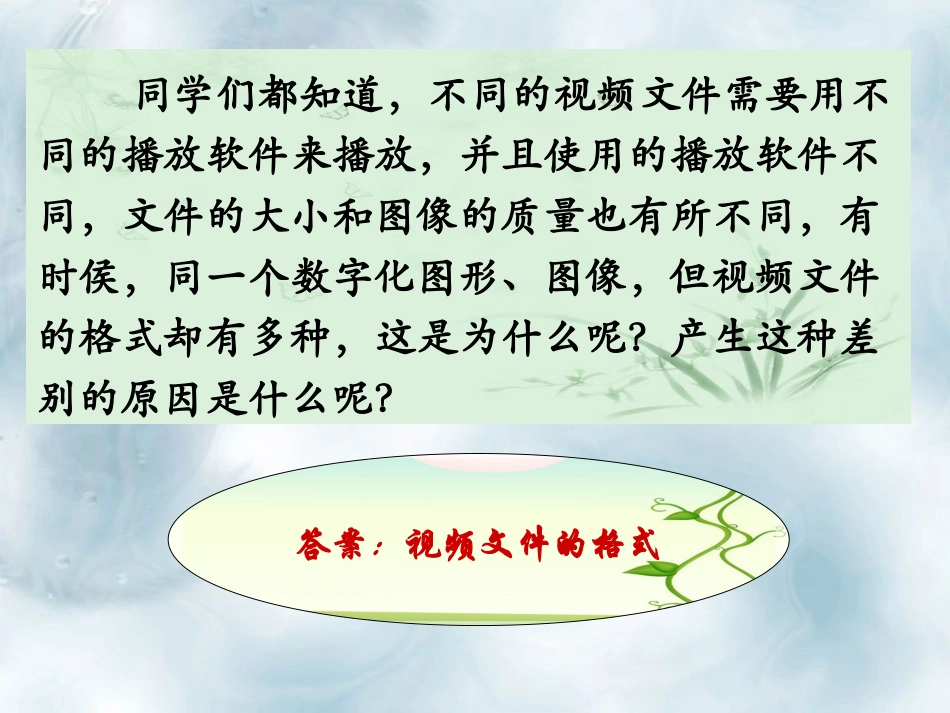 4.4.1-数字视频的格式及播放环境课件_第3页