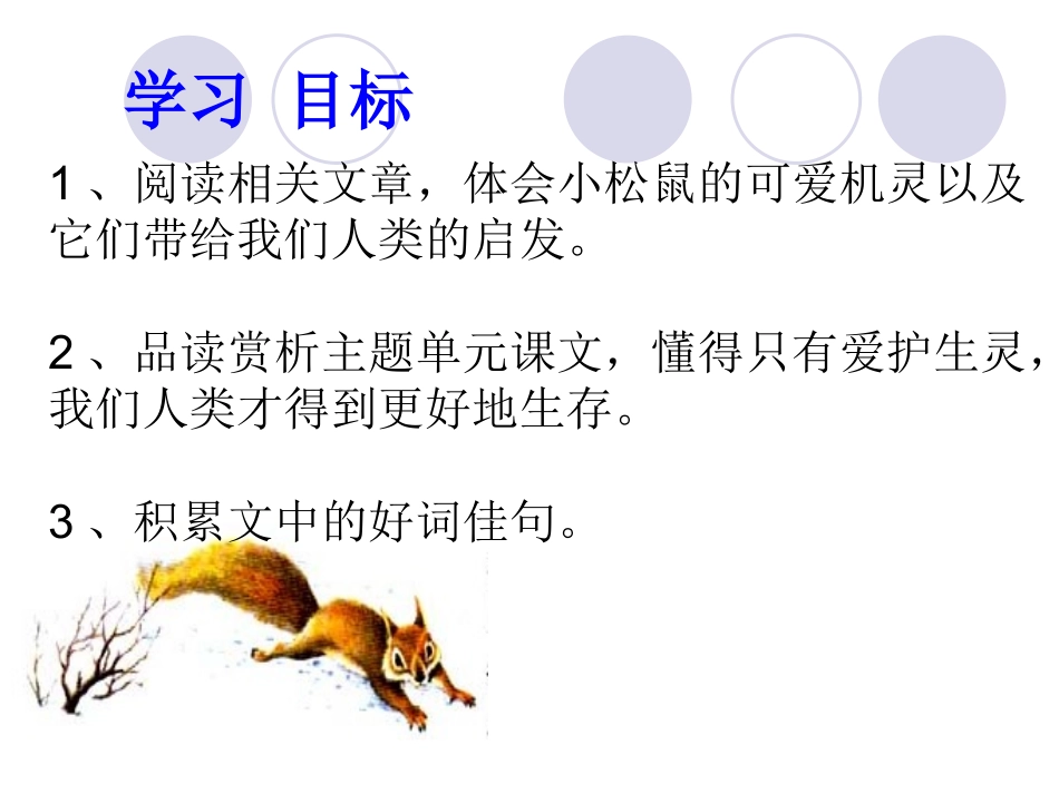 文《松鼠》拓展阅读_第3页