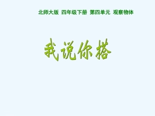 小学数学北师大2011课标版四年级《我说你搭》