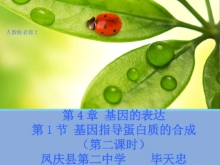 一基因控制蛋白质的合成-(2)