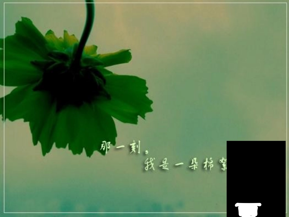 《用表格表示的变量间关系》课件1_第3页