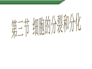 第三节细胞分裂与分化