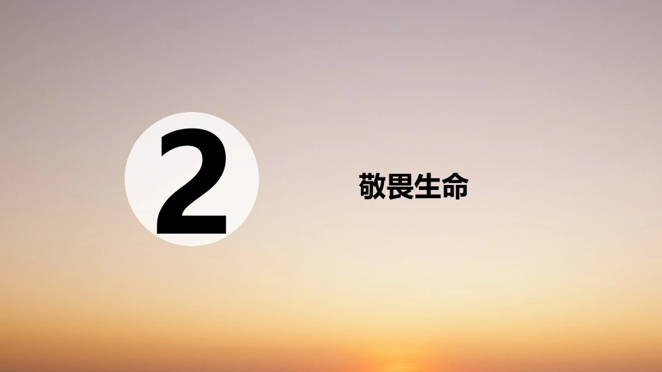 敬畏生命-(5)_第2页