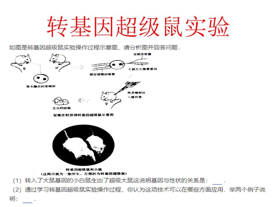 第五节生物的变异_第3页