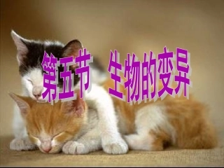 第五节生物的变异