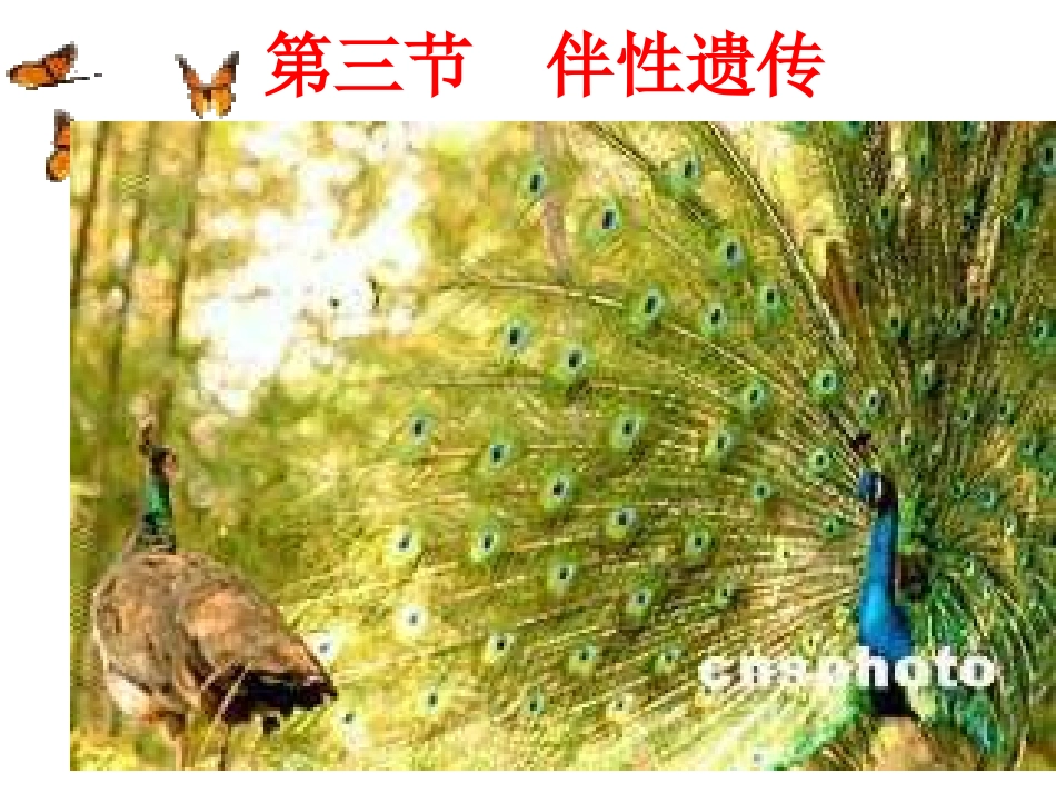 第三节性染色体与伴性遗传_第1页