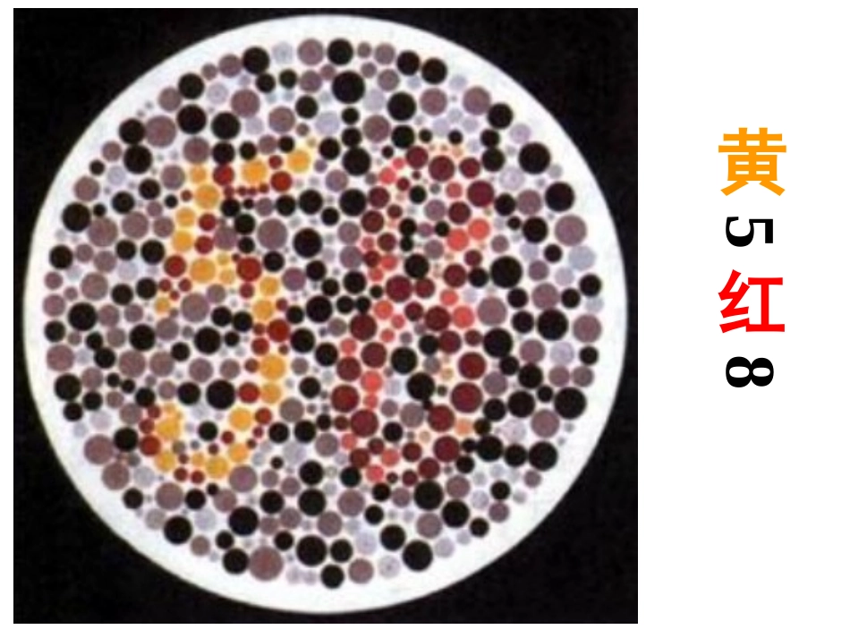第三节性染色体与伴性遗传_第3页