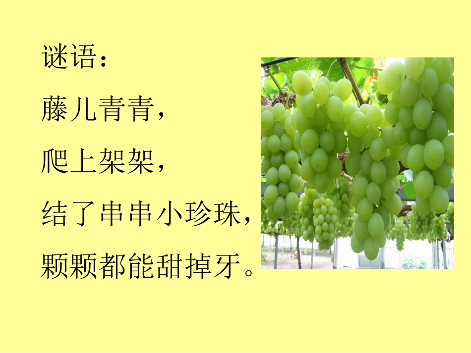 二年级语文下册-葡萄沟课件-人教版_第1页