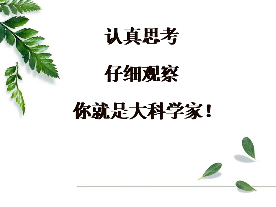 青岛版小学科学四年级下册《苹果为什么落地》课件-_第1页