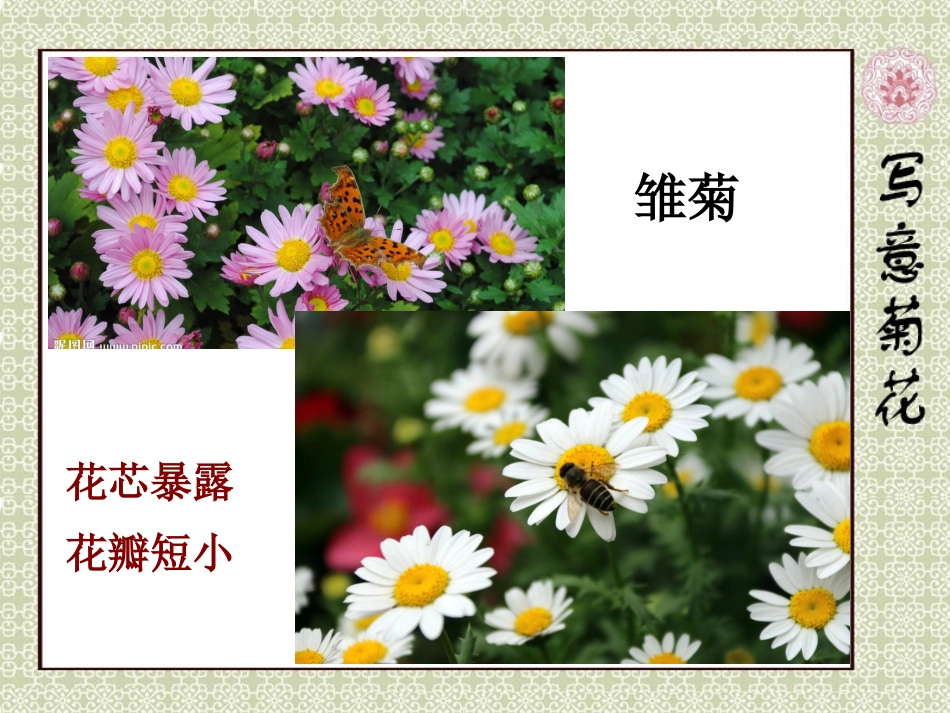 6.吴昌硕的书画和纂刻_第3页