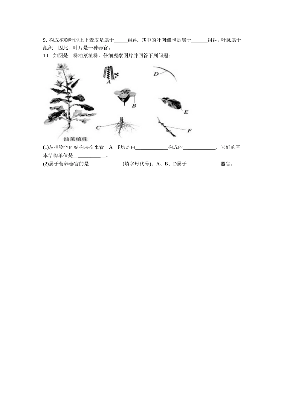 《第1节-植物体的组成》同步练习3_第2页