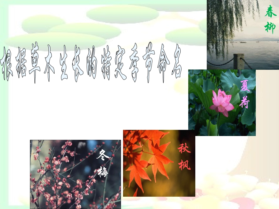 5大自然的语言-(3)_第3页