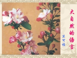 5大自然的语言-(3)