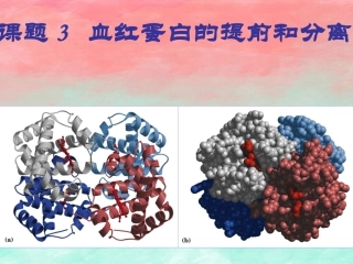 课题3-血红蛋白的提取和分离-(6)