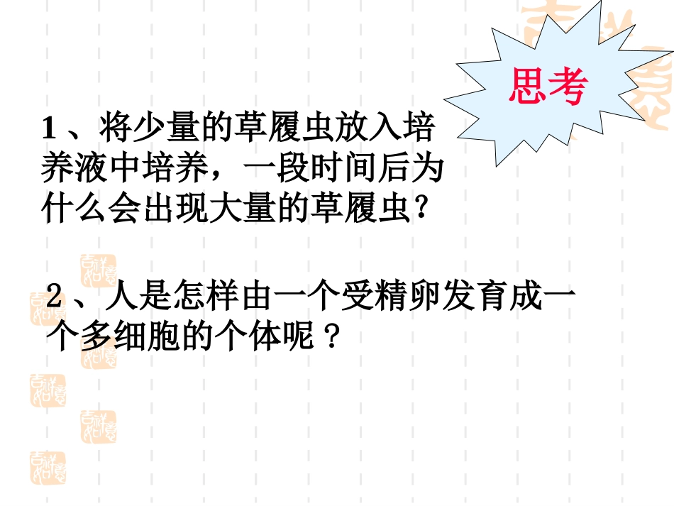 一有丝分裂-(2)_第2页