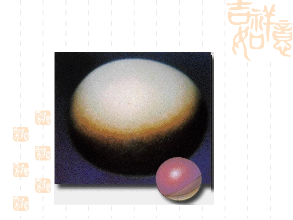 一有丝分裂-(2)_第3页