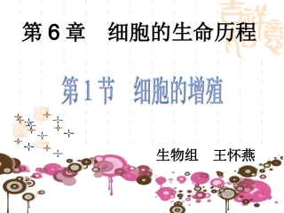 一有丝分裂-(2)