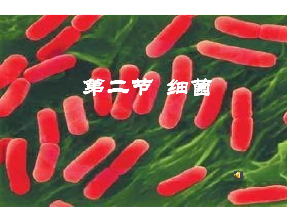与生物有关的职业-林业工人的新任务_第2页