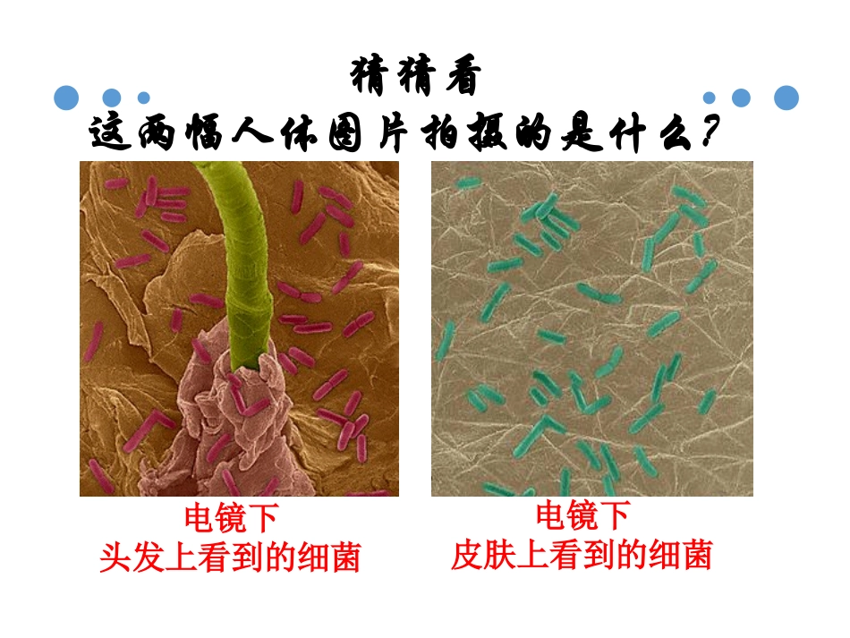 与生物有关的职业-林业工人的新任务_第3页