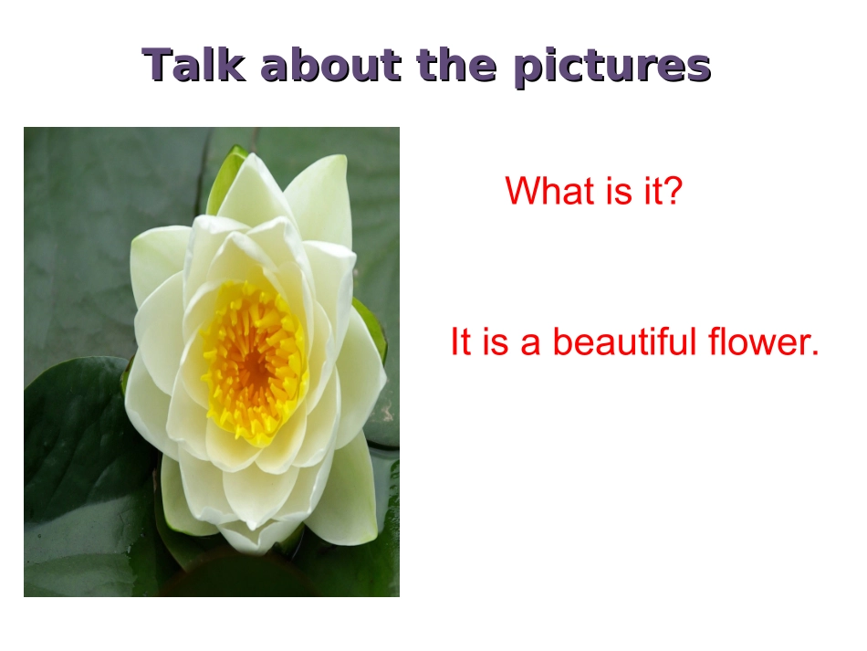 Imperatives&Exclamations_第3页