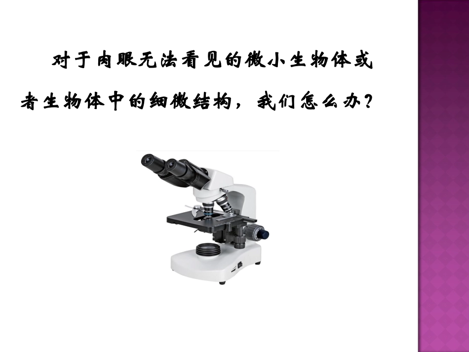 第2节生物学的基本研究方法_第2页