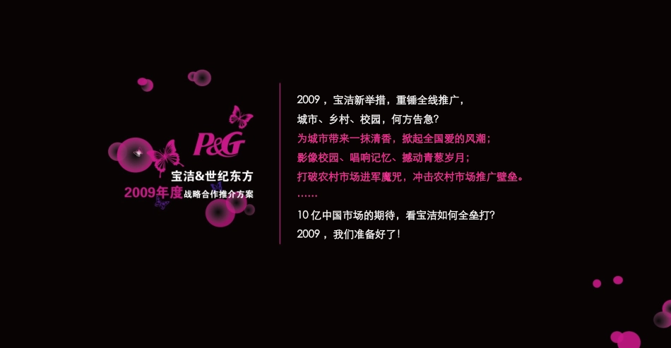 2009年度宝洁_第3页