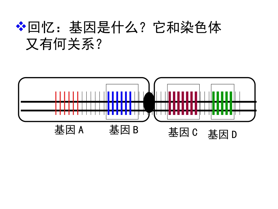 染色体数目的变异_第1页
