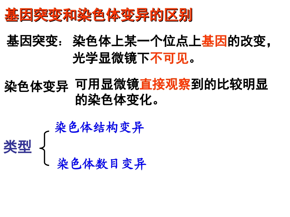 染色体数目的变异_第2页