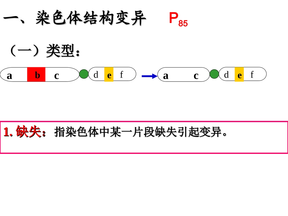 染色体数目的变异_第3页