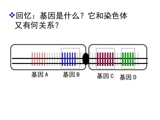 染色体数目的变异