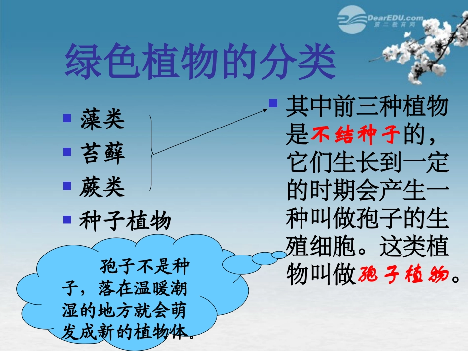 广西柳州市第十四中学七年级生物上册《藻类、苔藓和蕨类植物》课件-新人教版_第2页