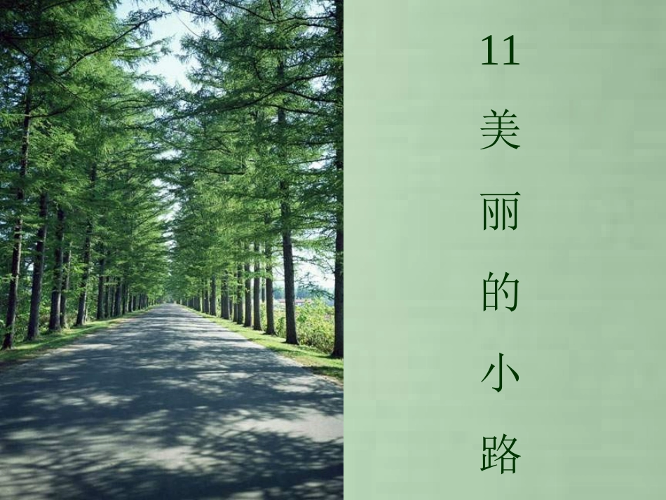 小学语文一年级课件-美丽的小路-2_第1页