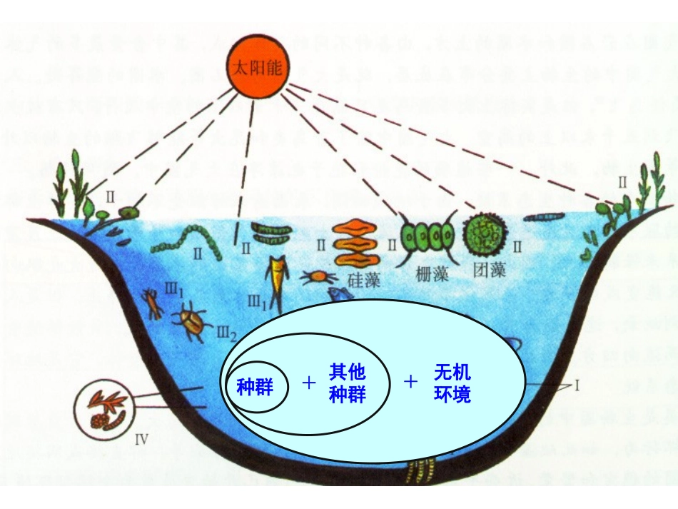 一生态系统的结构-(2)_第3页