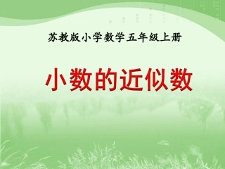 8.积的近似值