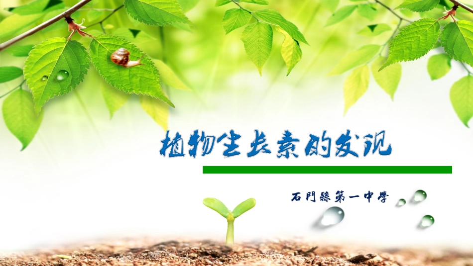 植物生长素的发现_第1页