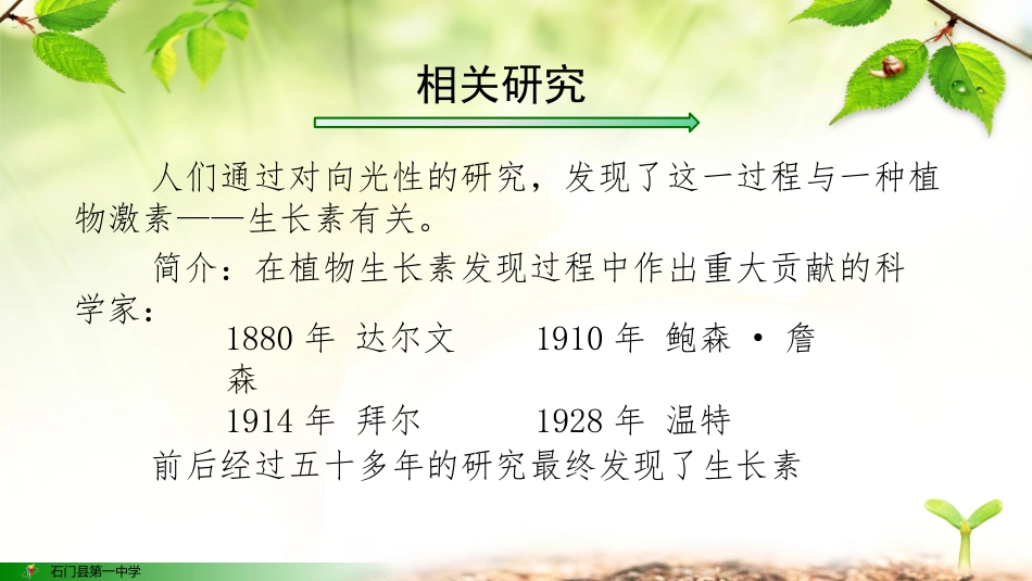 植物生长素的发现_第3页