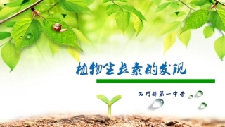 植物生长素的发现