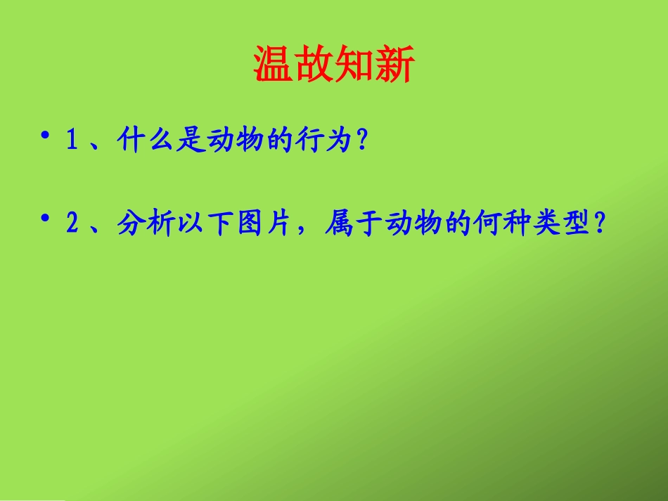 第2节动物的行为_第2页