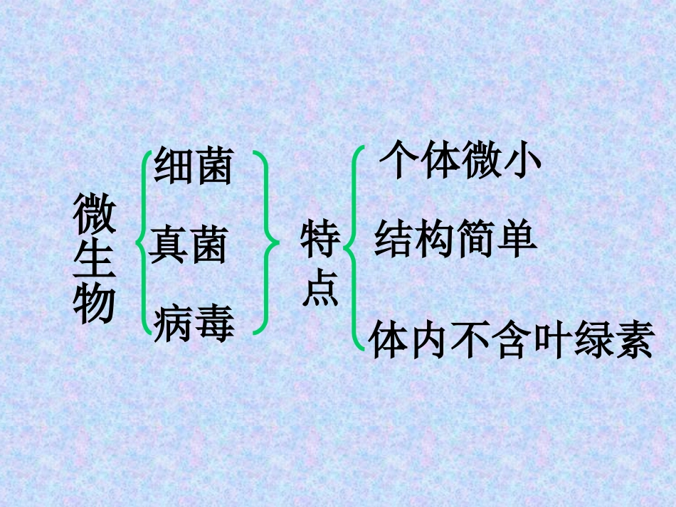 第三节神奇的微生物-(4)_第2页