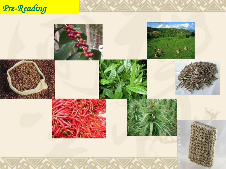 unit-4-reading-&-language-points_第1页